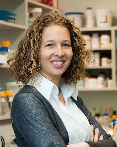 Dr. Yvonne Lamers headshot